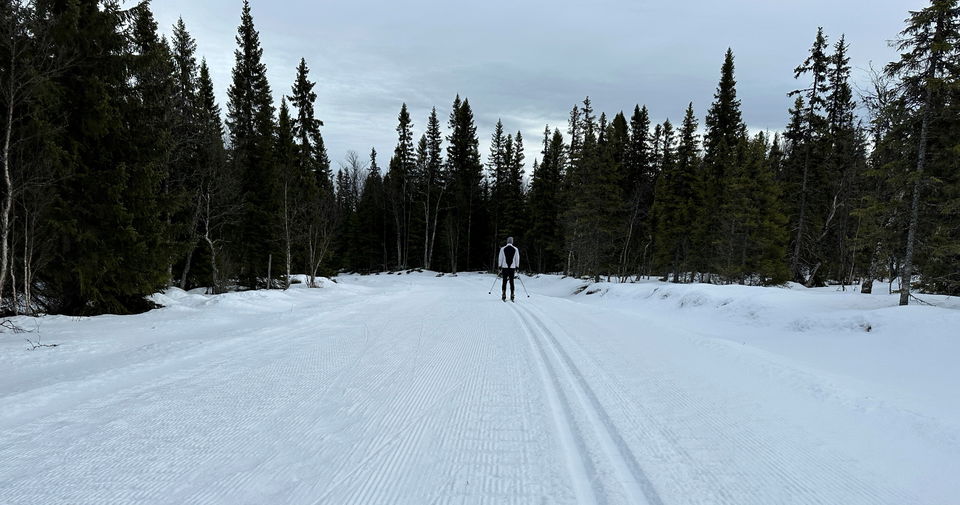 Person som åker i ett längdspår