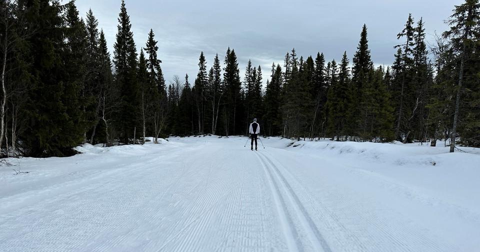 Person som åker i ett längdspår