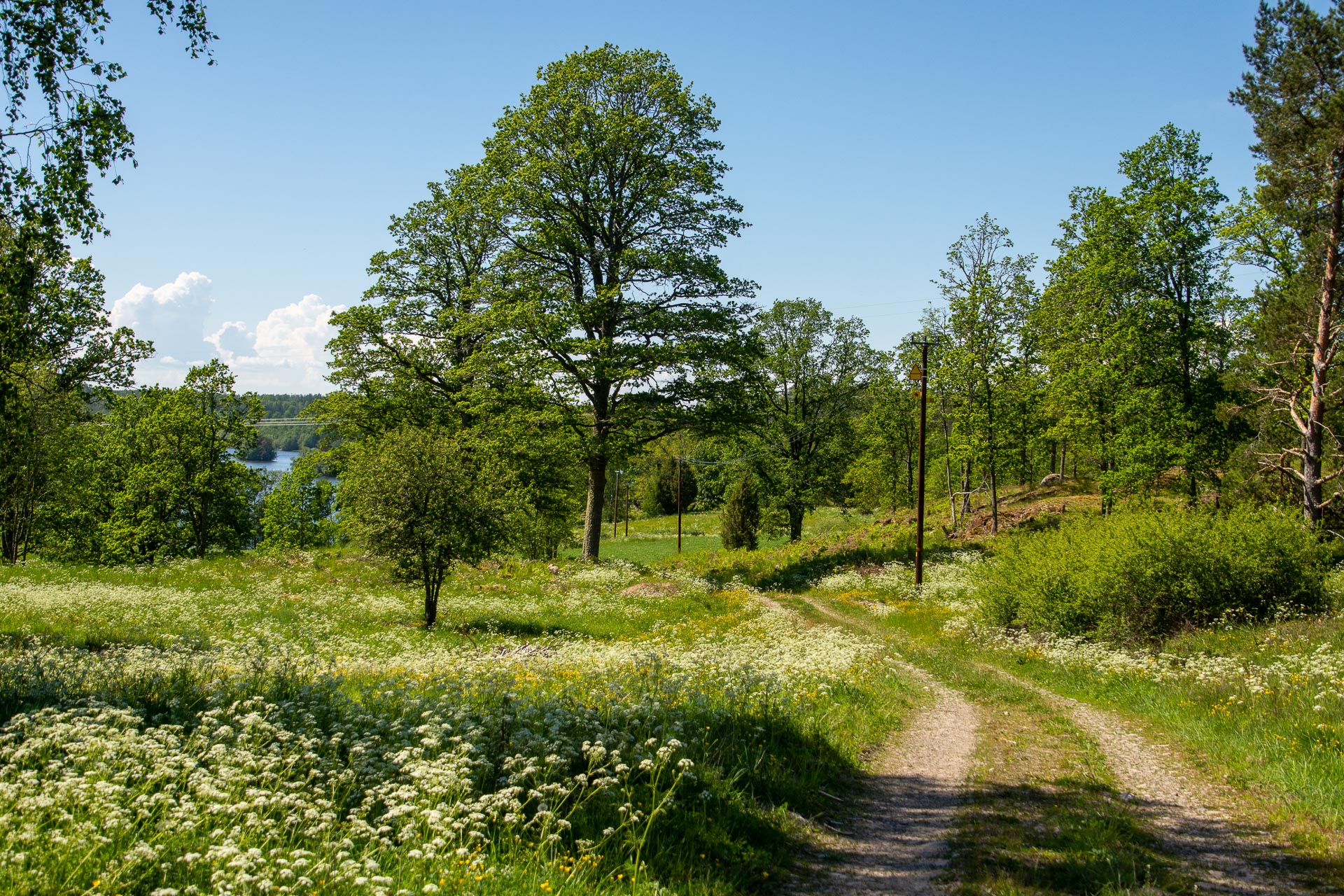 Falerum - Åtvidaberg 19 km