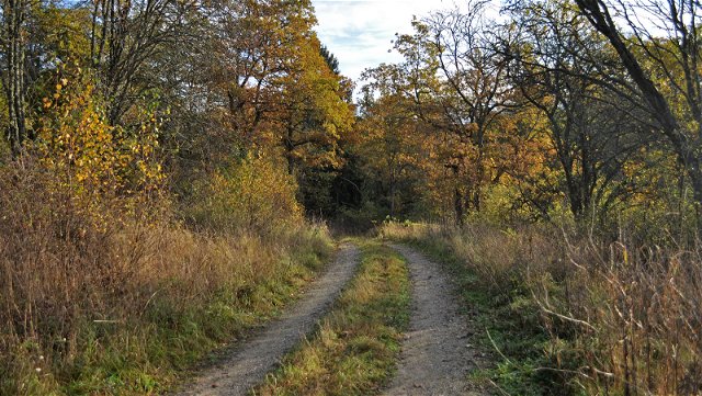 Bornsjön - The Bornöleden trail