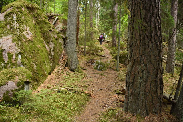 Säby Västerskog