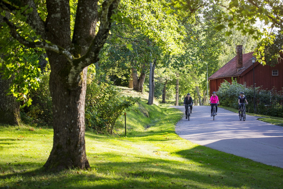 Cykel genom Borg vik