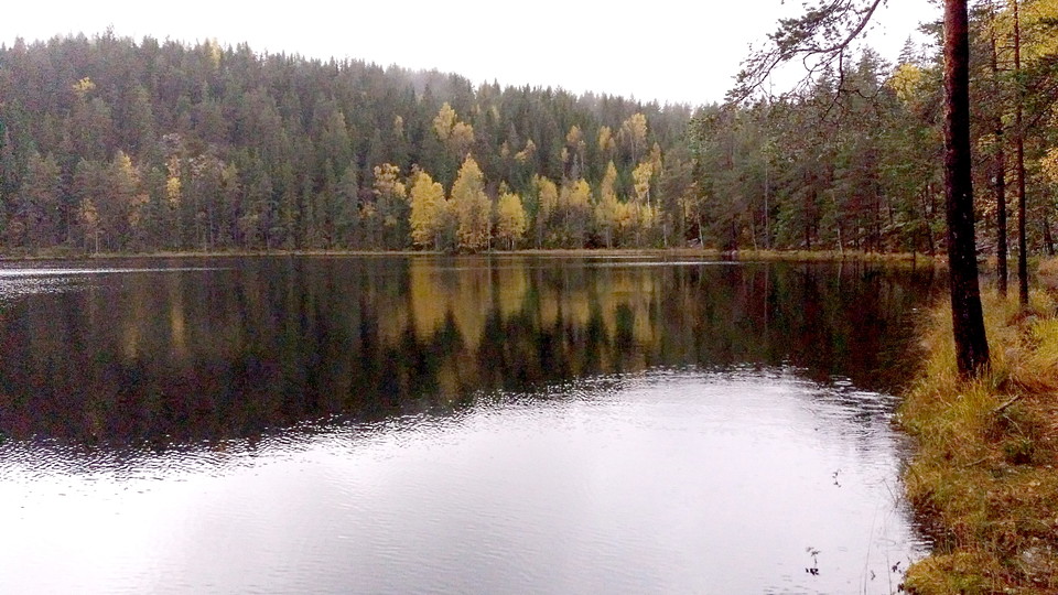 Utsikt över sjön -