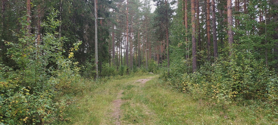 Elljusspåret i Ramsjö