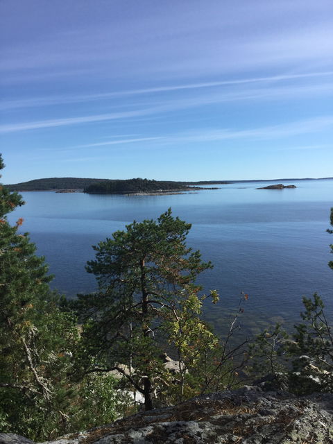 Utsikt mot Bottenviken
