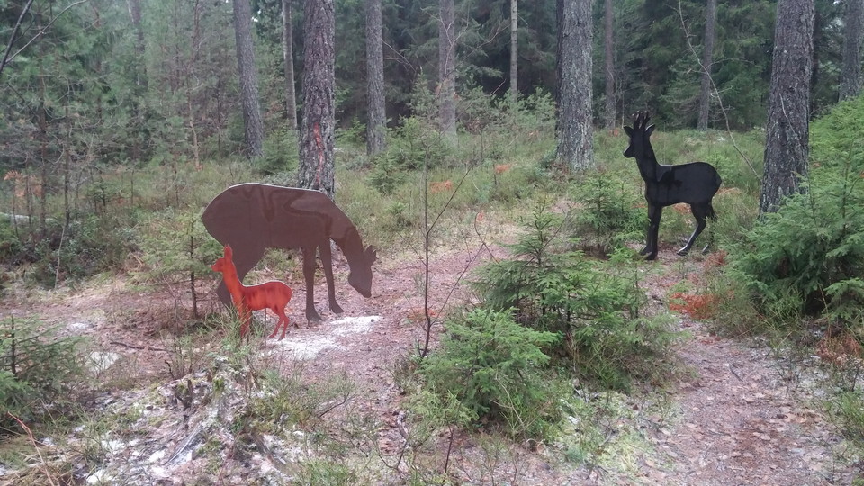 Kan du hitta oss längs slingan?