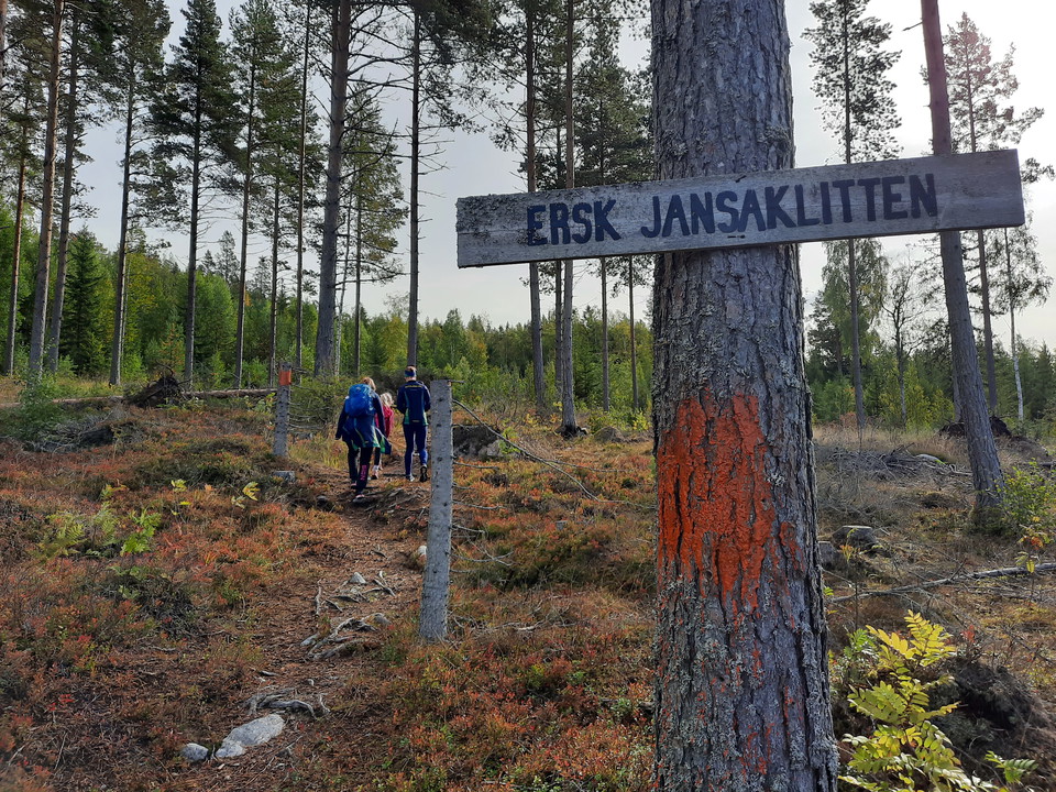 Smal stig upp till bergets topp