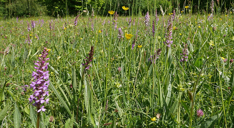 Fotograf: Johan Jansson