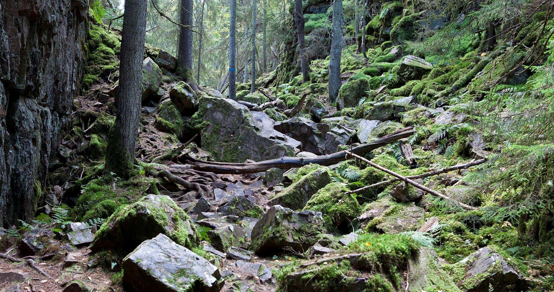 Höglandsleden etapp HÖ1 - Västra Lägern - Skuruhatt - En del av Smålandsleden