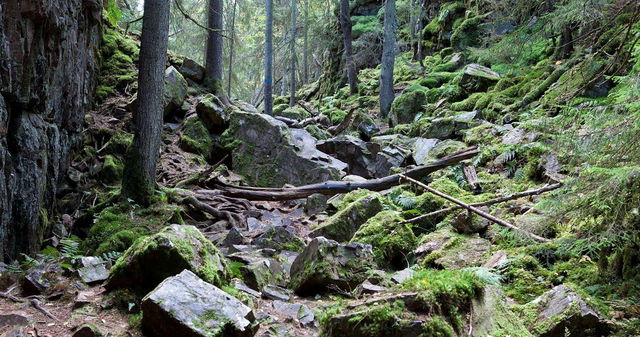 Höglandsleden etapp HÖ1 - Västra Lägern - Skuruhatt - En del av Smålandsleden
