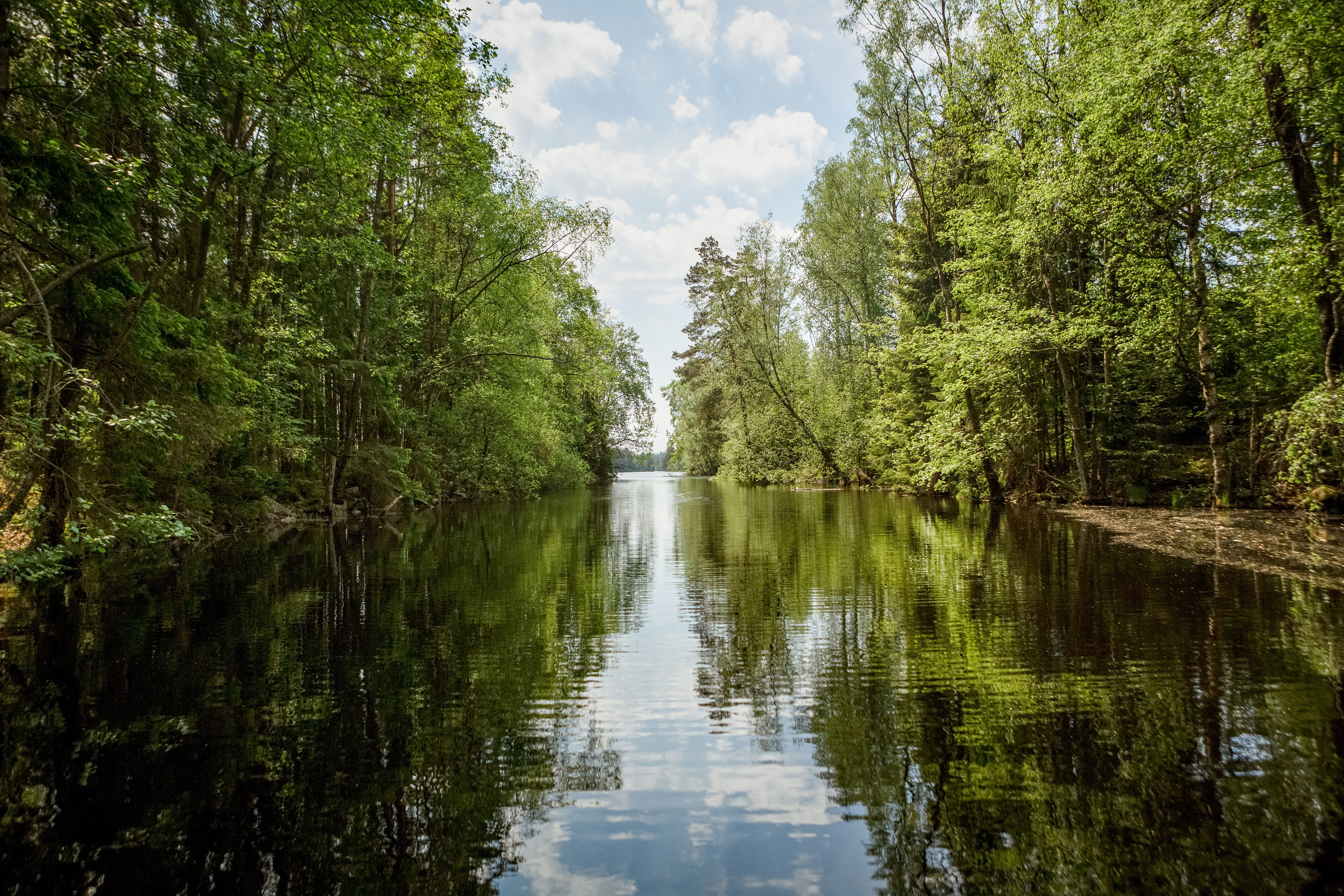 Fegens naturområde