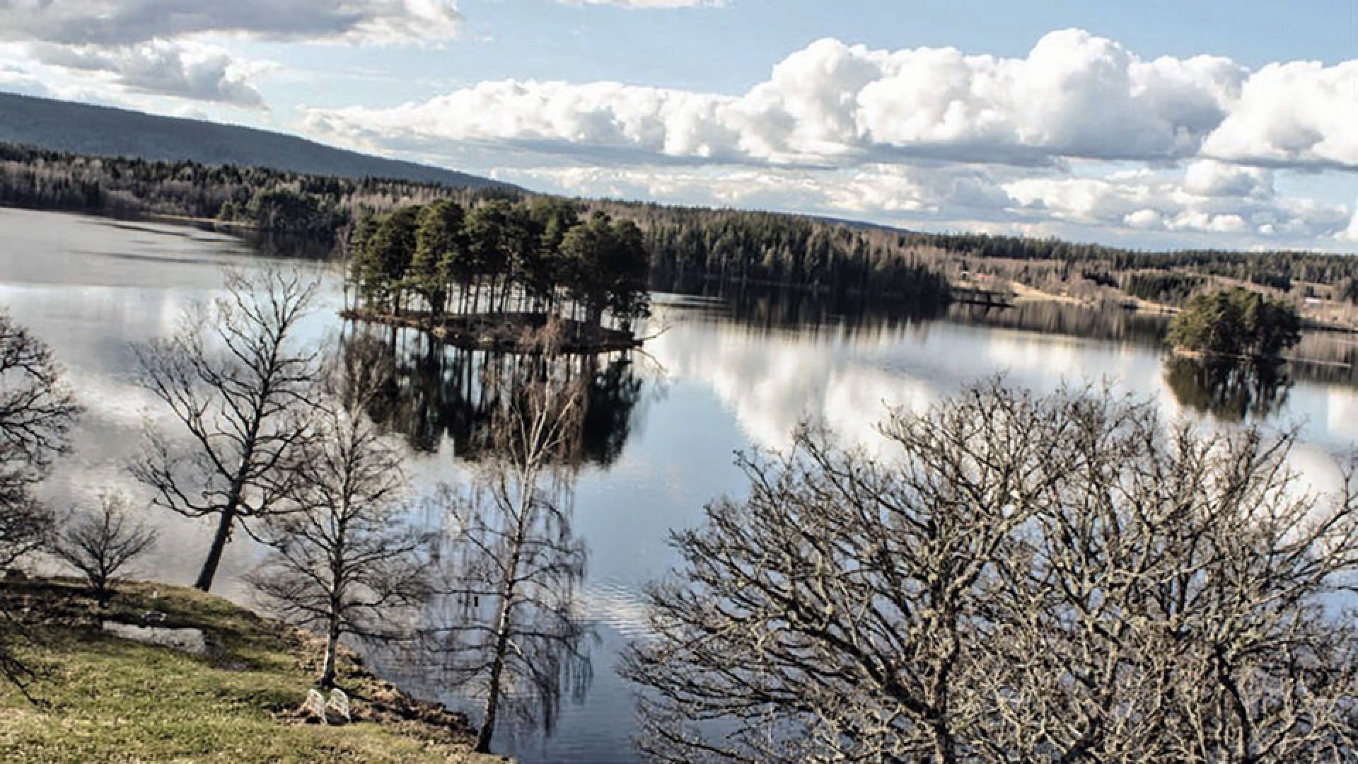 Ta en promenad i motionsspåret i Svanskog som går genom skog och längs sjön Mellan-Svan