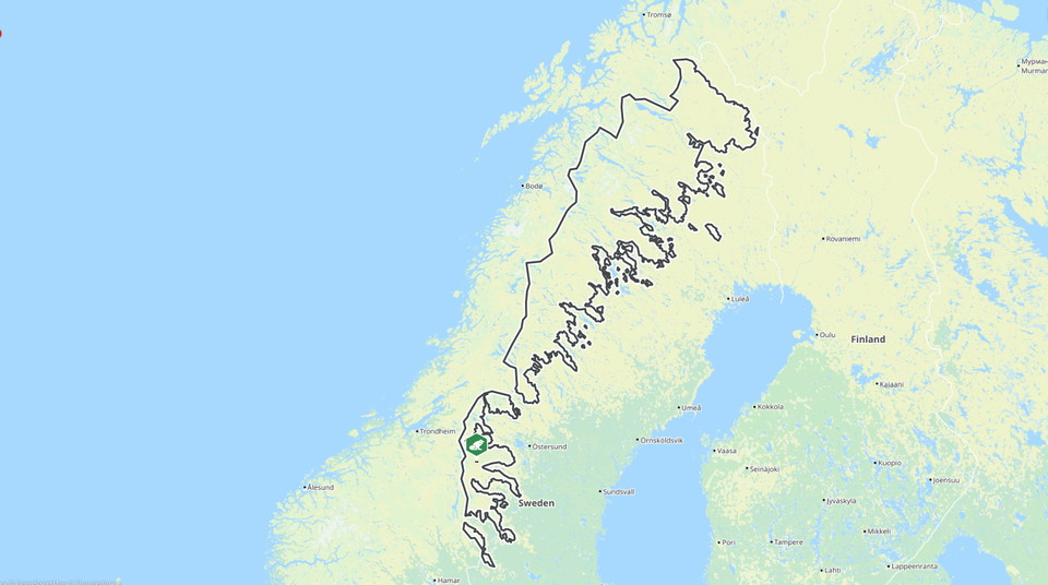 Gränsen för fjällnära skog