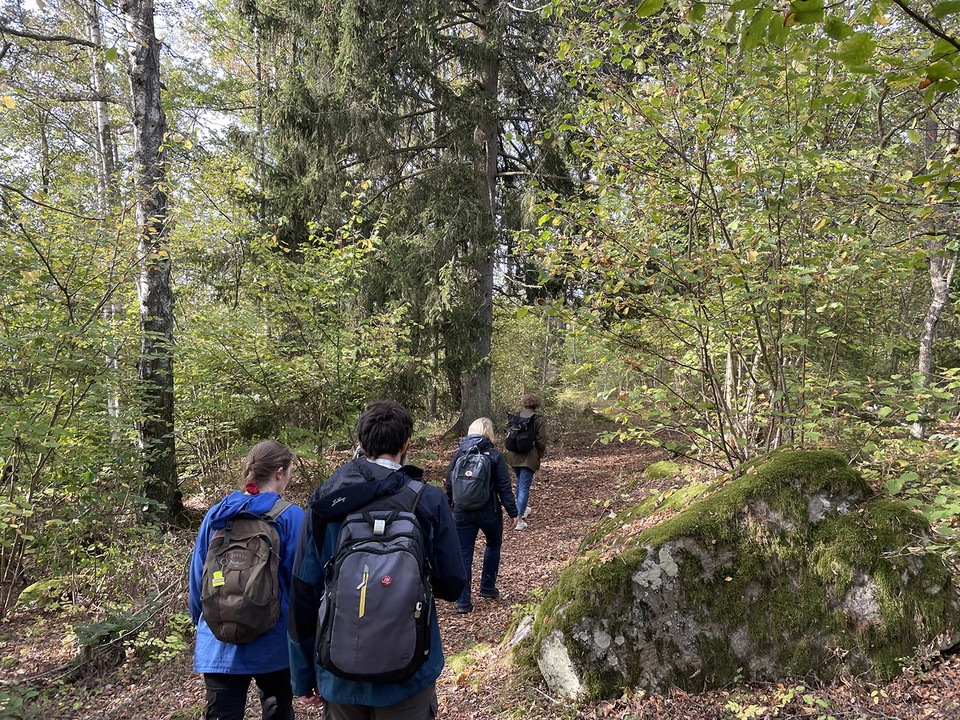 Fyra personer med ryggsäckar går genom skogen på en stig.