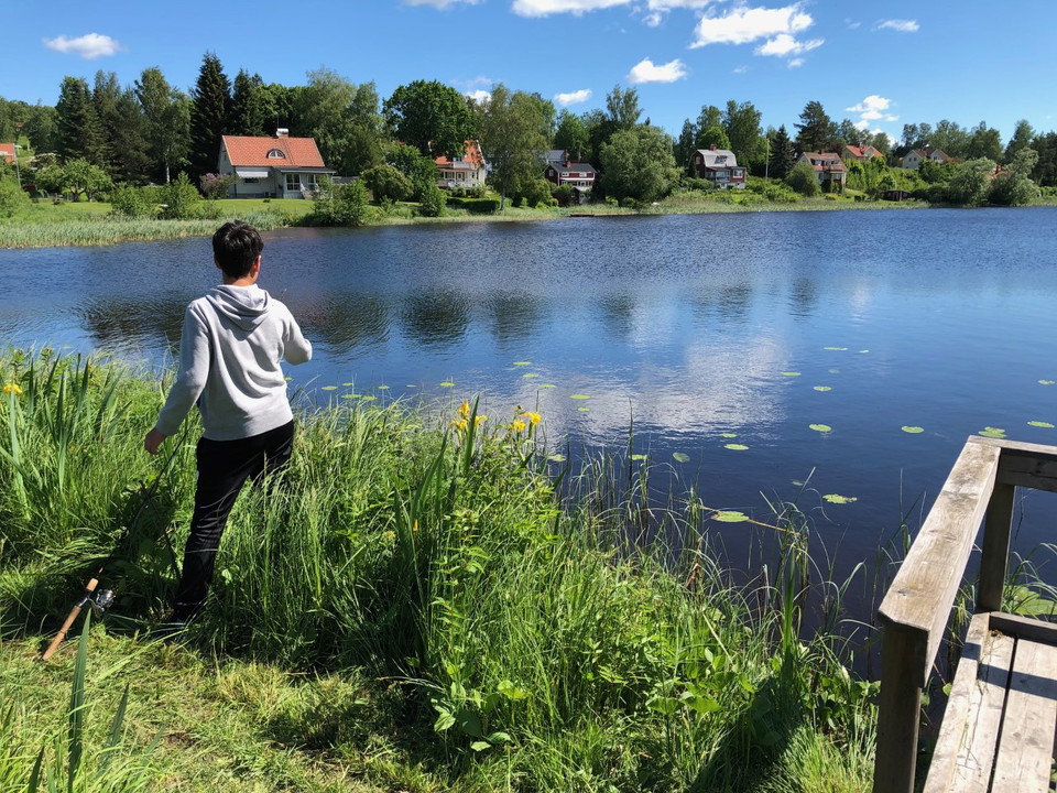 Fiske Bovins vik