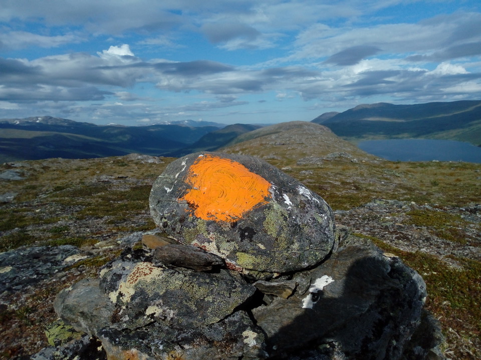 Röse på Aamere.