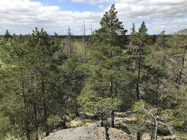 Utsiktsplats, Stora Alsjön