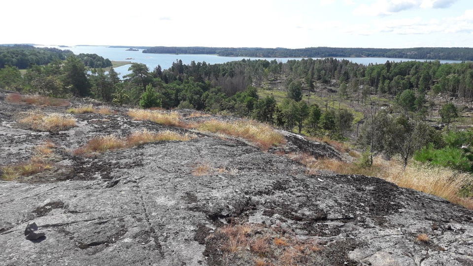 Vida vyer från Kasbergets topp. 
