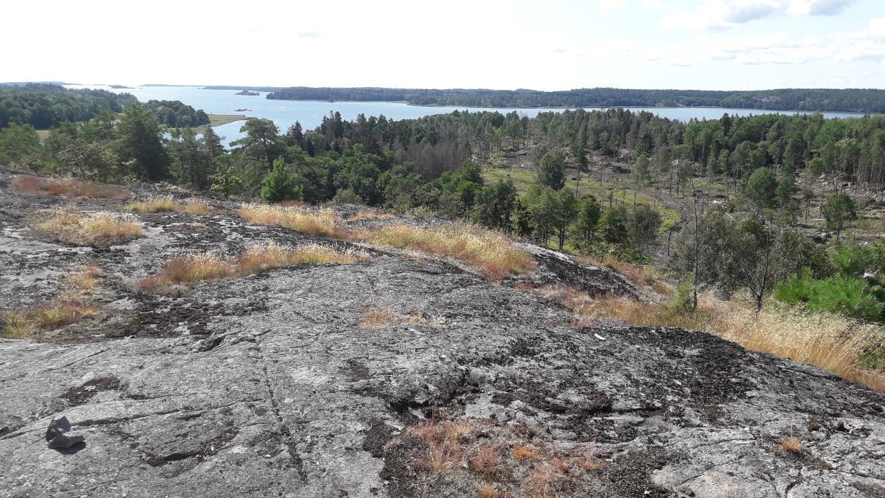 Vida vyer från Kasbergets topp. 