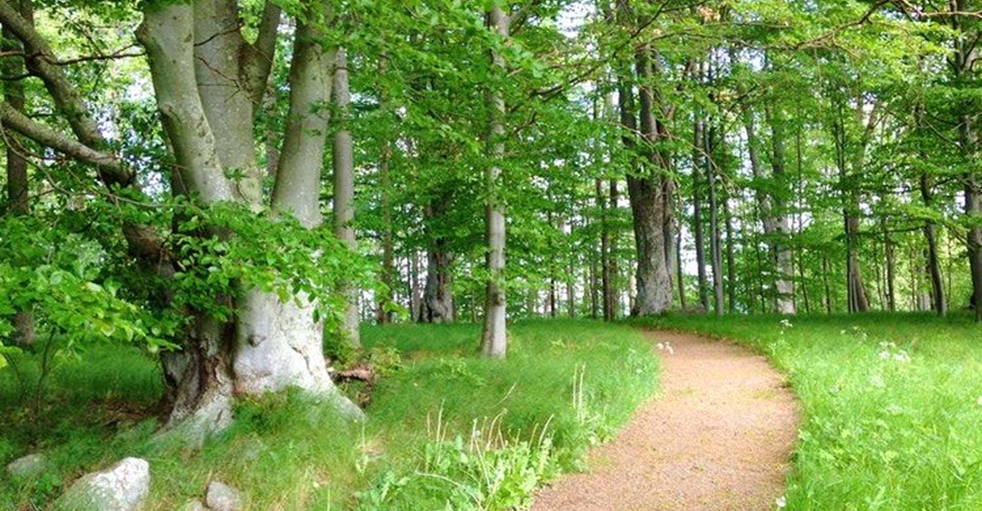 Ulvåsa park. 
Etapp: Motala-Borensberg. 
Motala