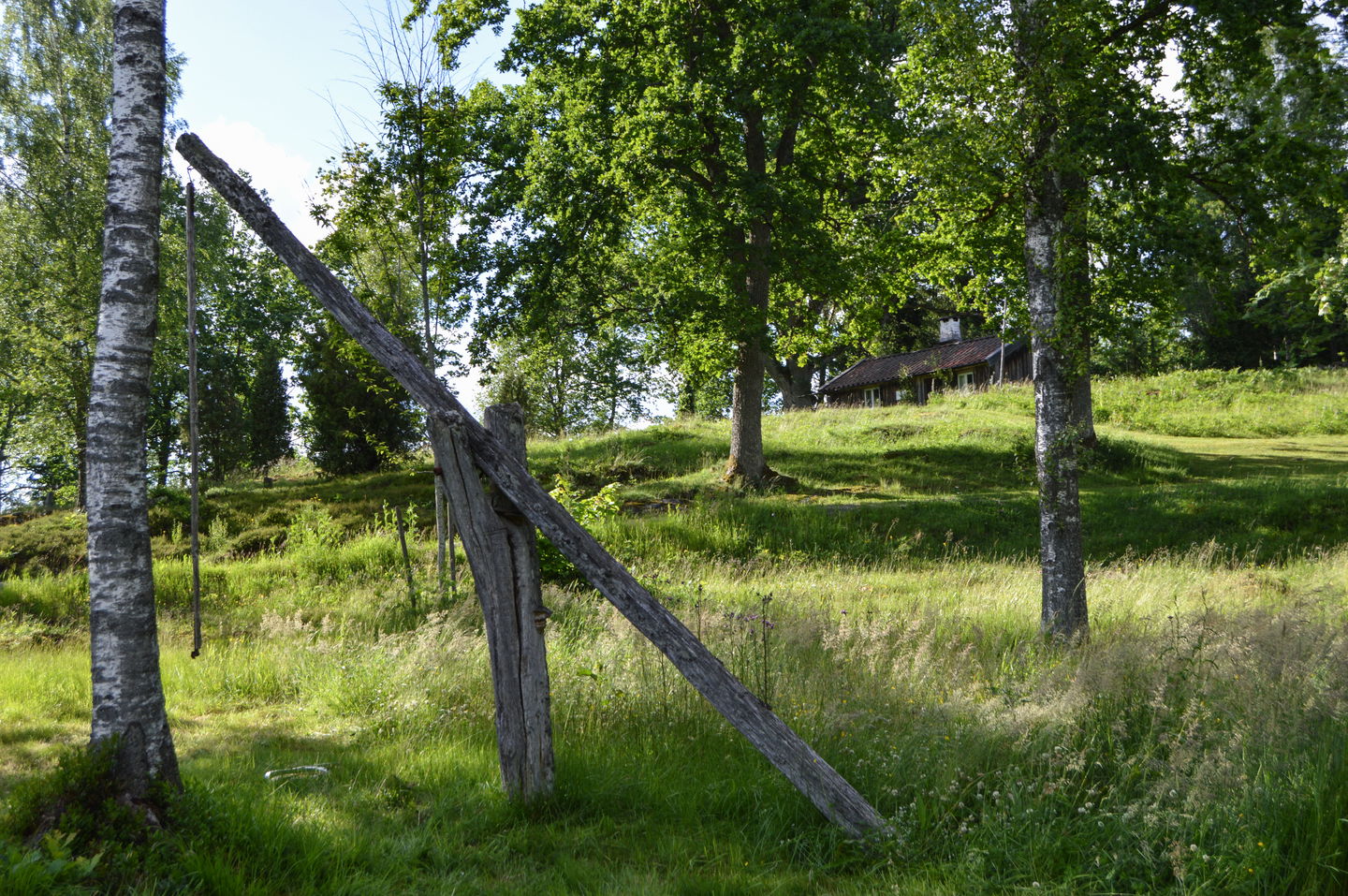 Alma Skog