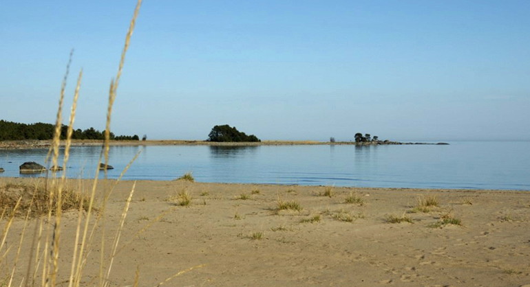 Sandstrand i Hölicks naturreservat