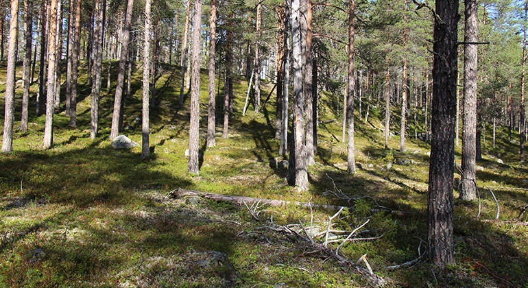 Lillflötuberget.