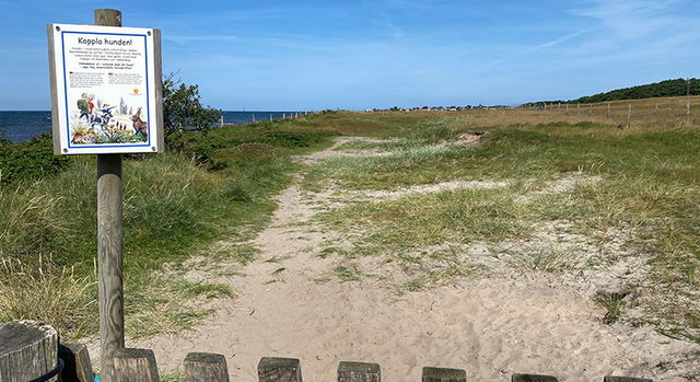 Domsten-Viken, Naturreservat
