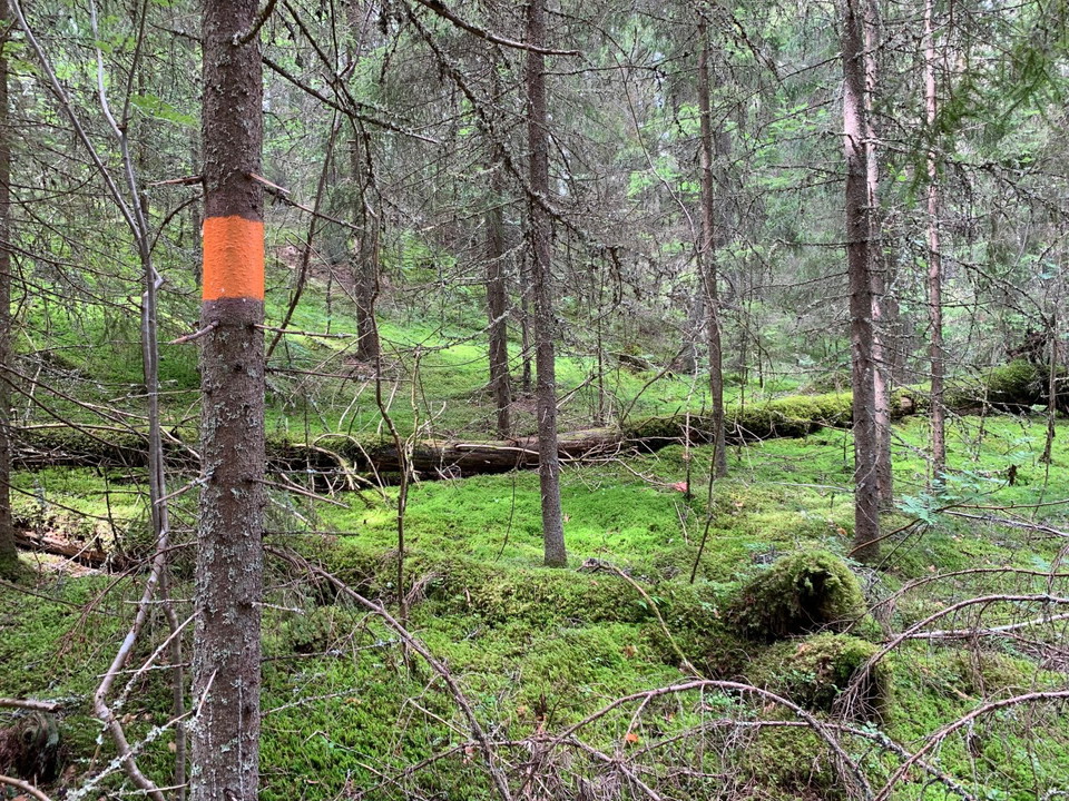 Tydliga ledmarkeringar