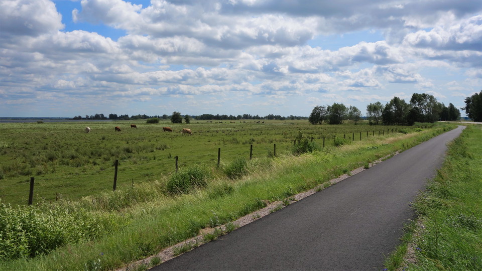 Gång- och cykelvägen vid strandängarna mellan Vreta Kloster och Linköping.
