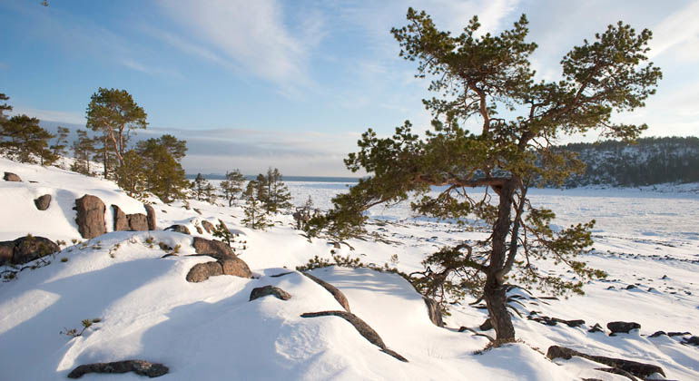 Norrfällsviken.