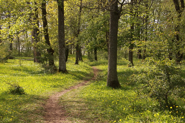 Västerplana storäng, Naturreservat