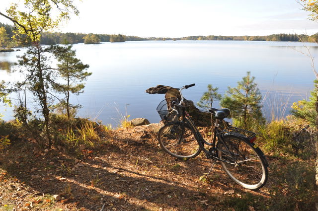 Såganäsbron