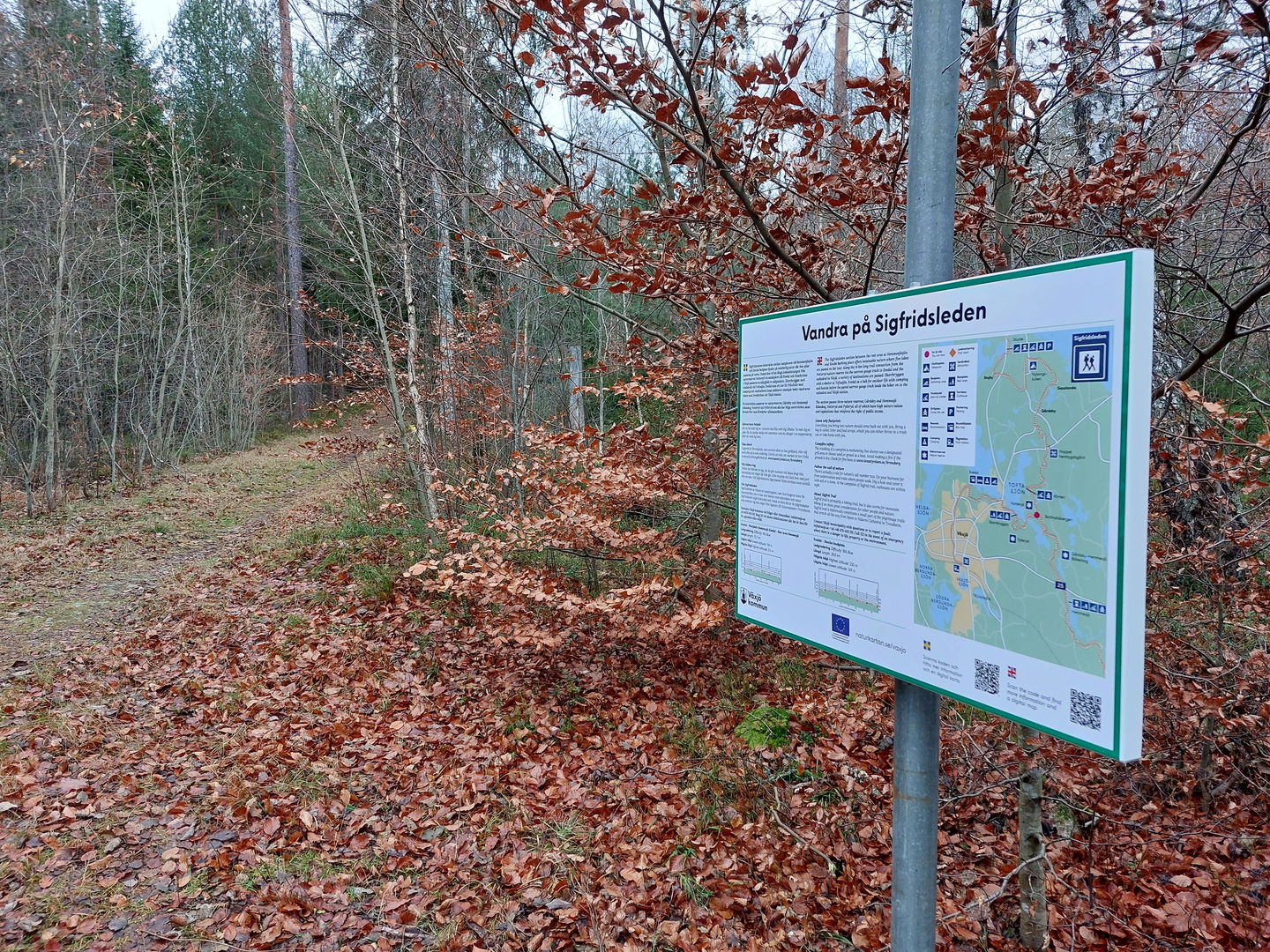 Sigfridsleden passerar förbi