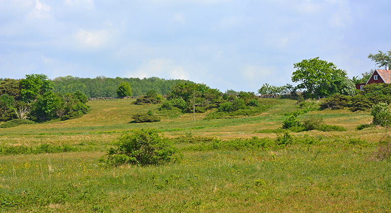 Fäladen.