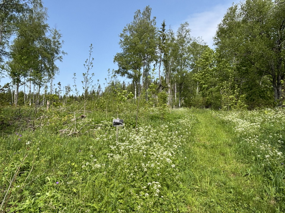 Vandring ut på led - Löfmarken