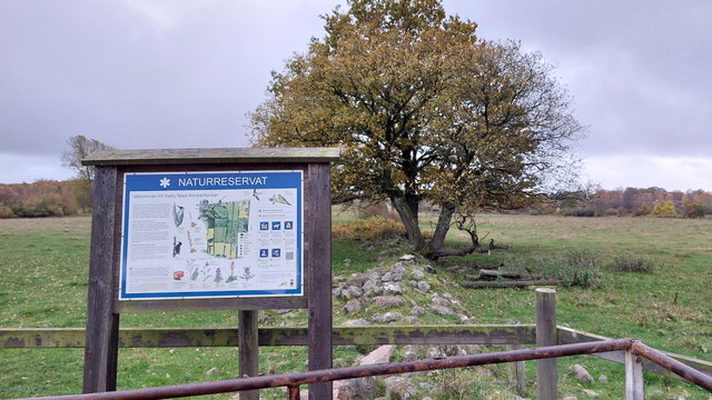 Dalby fälad - Klockarelyckan, Naturreservat