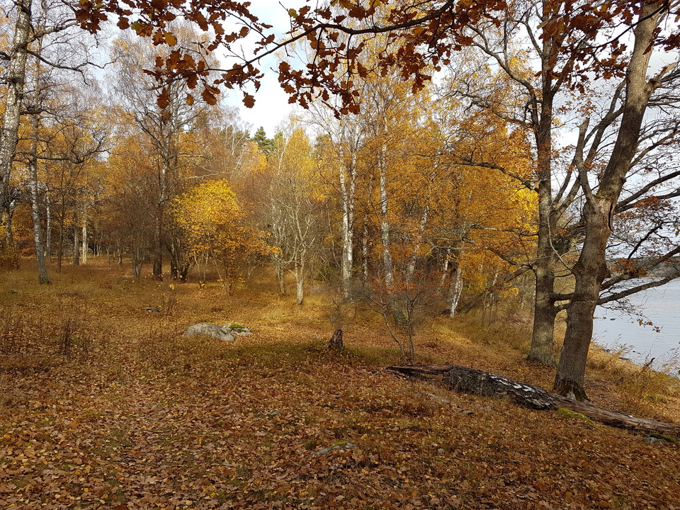 Södergarnsängen. Foto Lidingö stad.