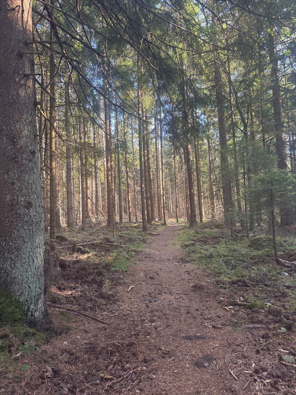 Bild: Hunneberg Sport och Motion 