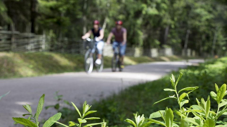 Två cyklister cyklar på en grusväg