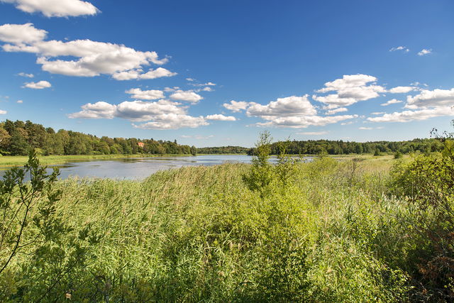 Utsikt över Magelungen, Rågsveds naturreservat