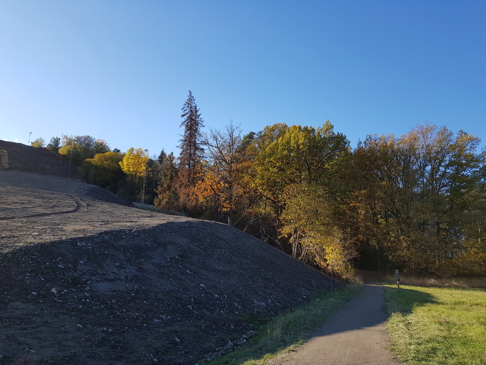 Ekholmsnäs skidbacke efter knappt 6 km av Lidingöloppet. Foto Lidingö stad