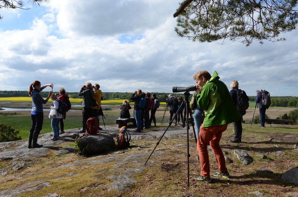 Bra utkik från Midsommarberget