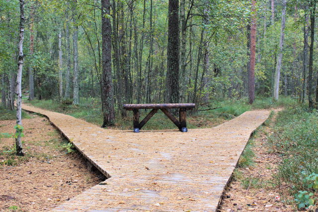 Bänk längs Logsjörundan