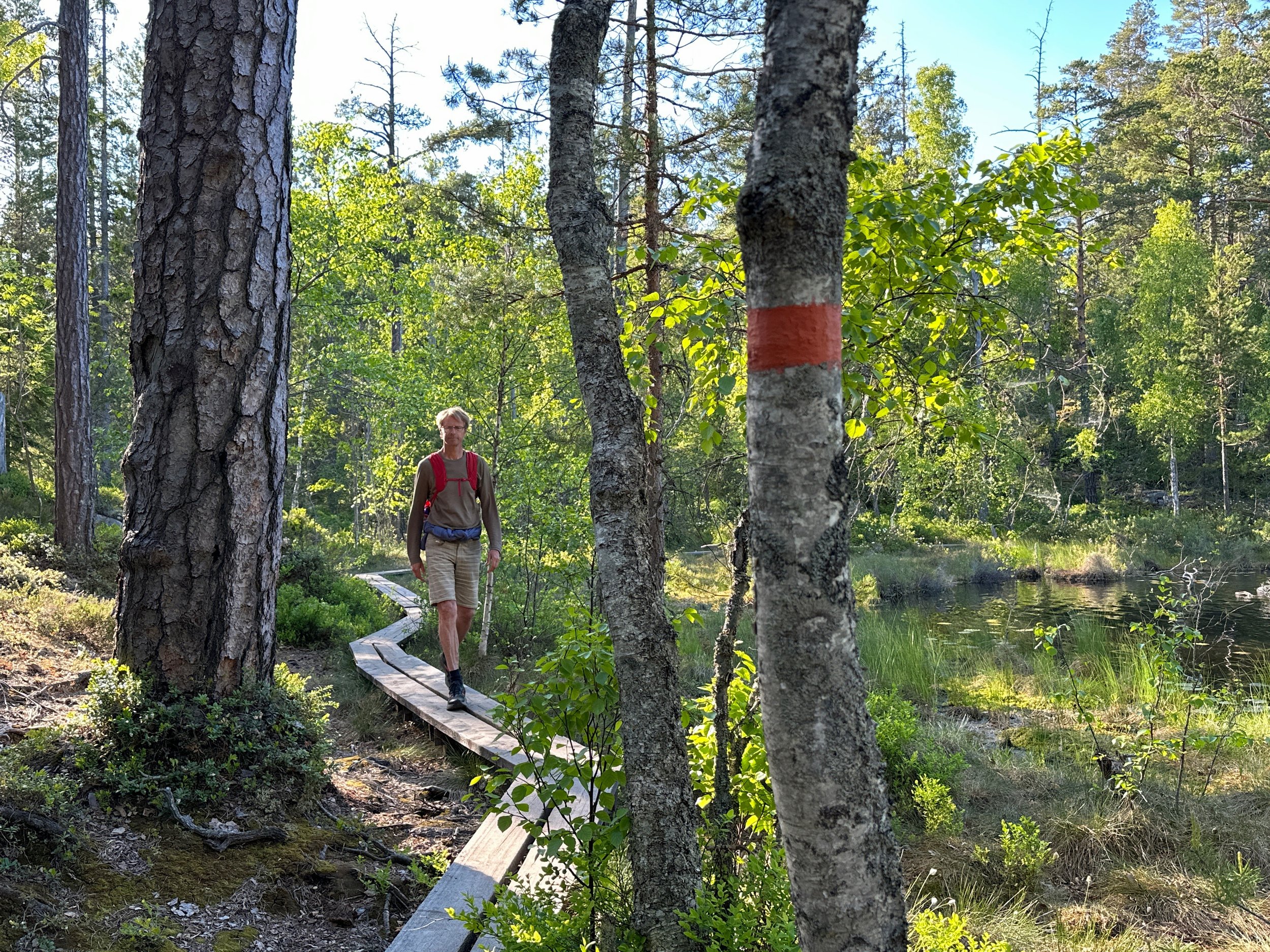 Anmäl dig till Naturvårdsverkets tankesmedja - kunskap om friluftsliv - 2023