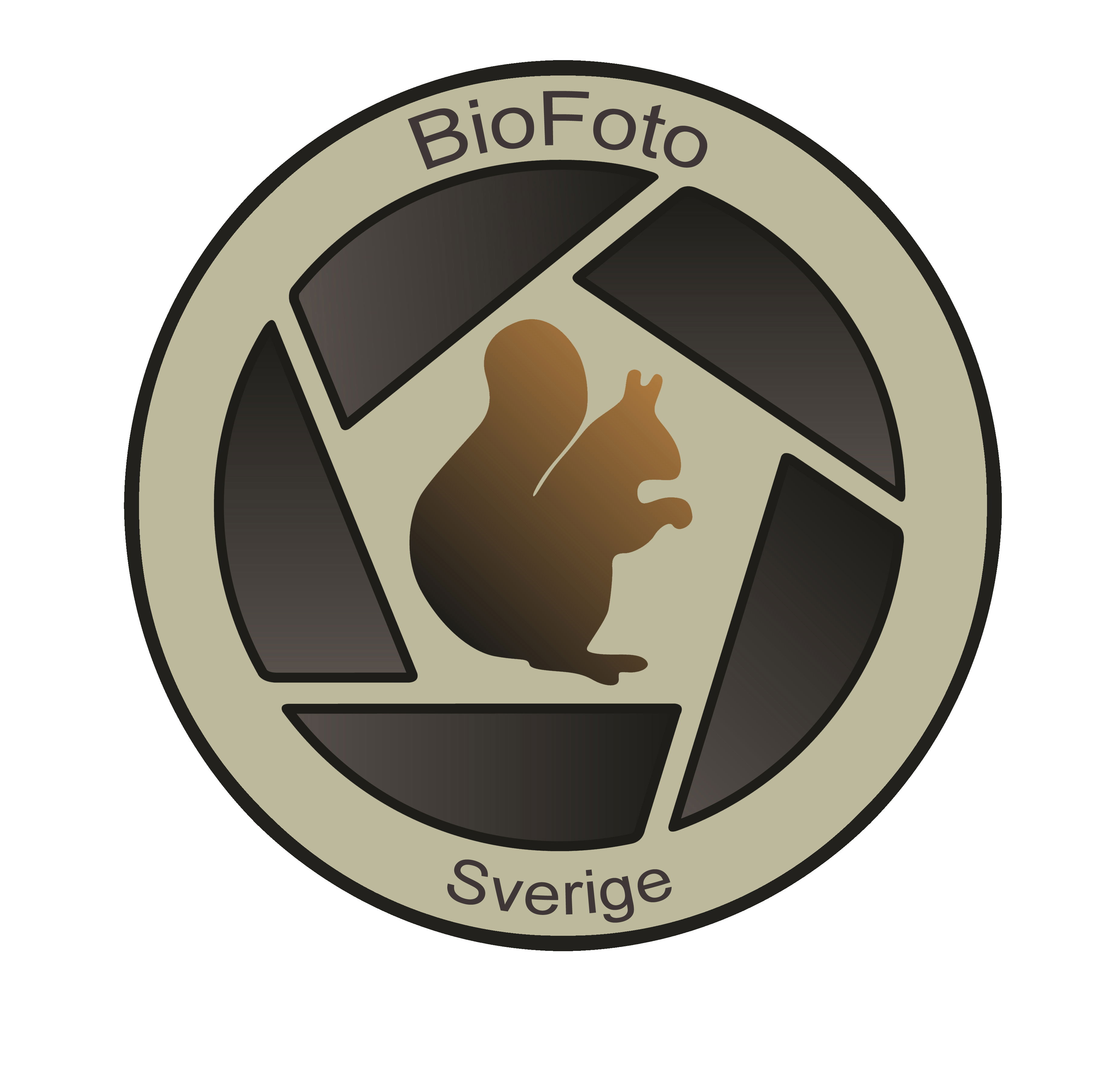 Bio Foto Sverige - förening för naturfotografer