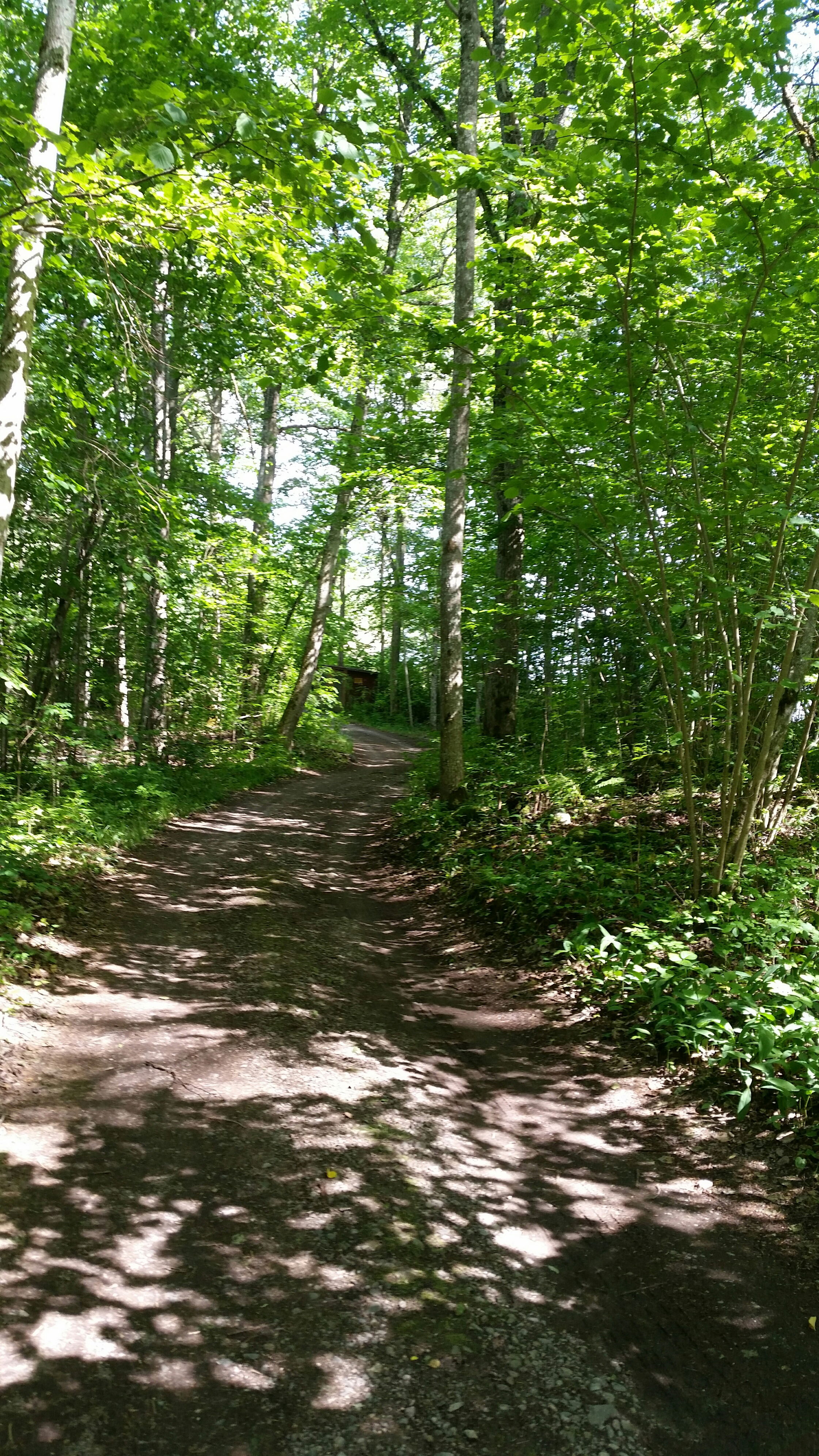 SörgöletLögarbäcken Naturkartan