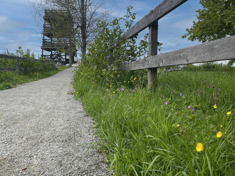 Grusad stig kantad av gula och lila blommor leder mot ett utsiktstorn i fyra våningar.