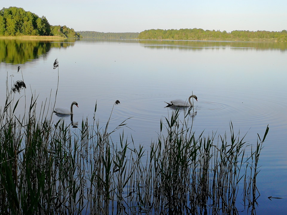 Södra Bergundasjön