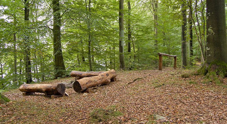 Längs ridstigen finns en rastplats med hästparkering.